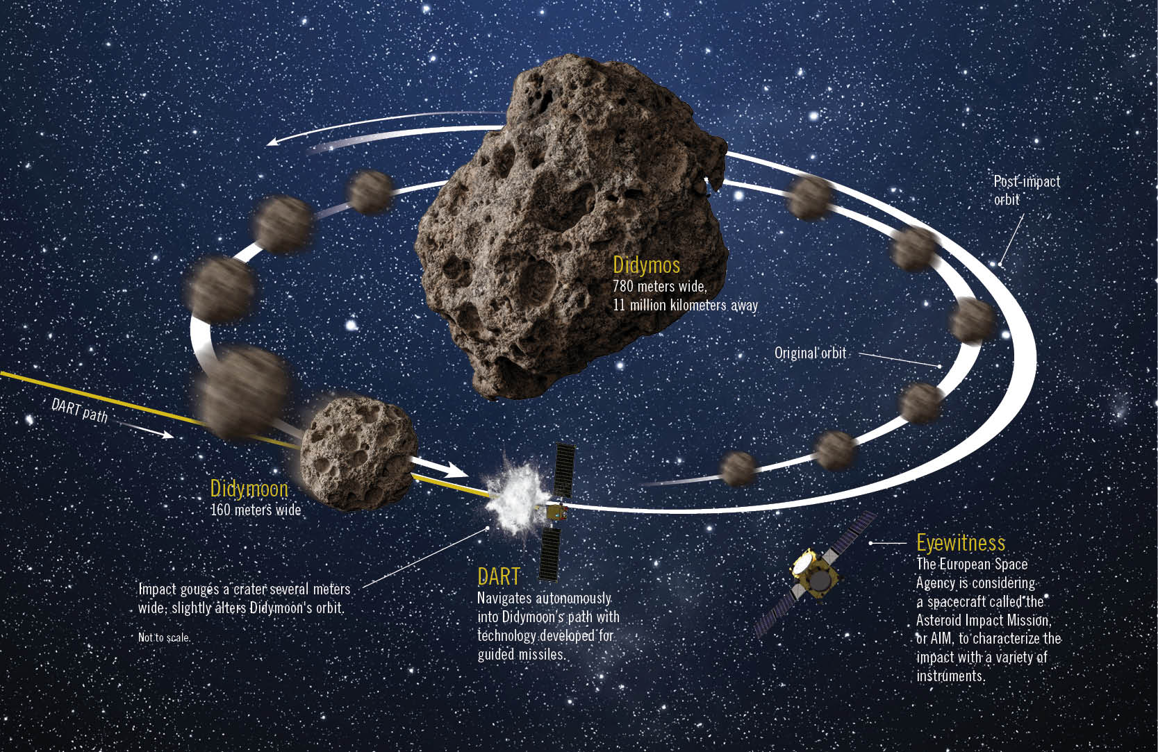 Illustration of the dart mission showing the spacecraft approaching the asteroid dimorphos, depicting its path, impact, and post-impact orbit change.