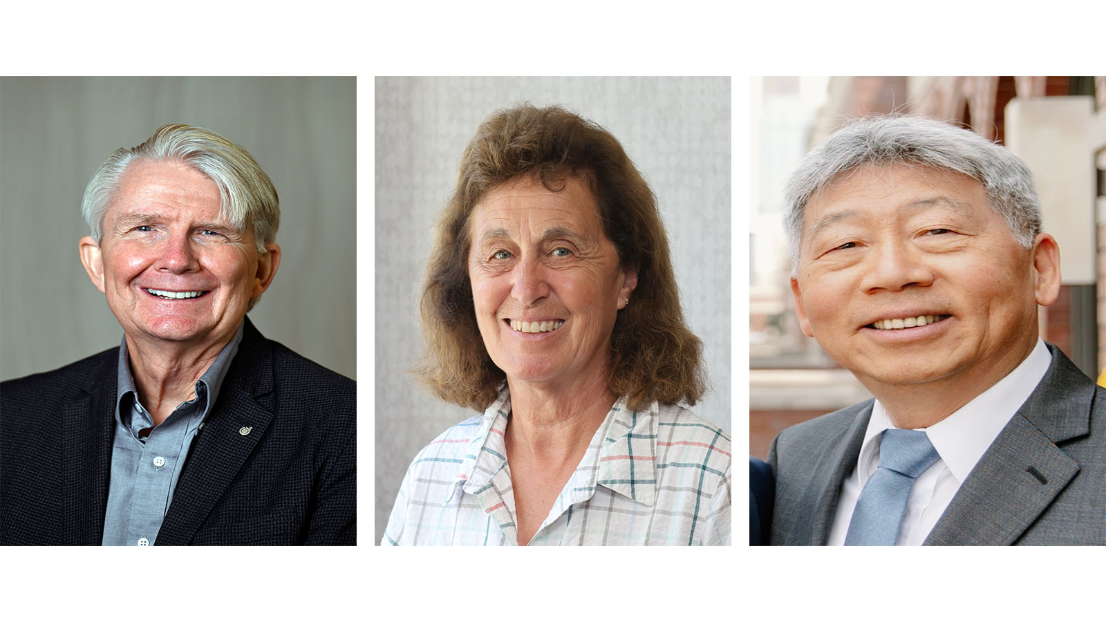 Three individuals pose for professional headshots: a smiling elderly man with grey hair, a woman with shoulder-length curly hair, and an elderly man with a suit and tie, all smiling.